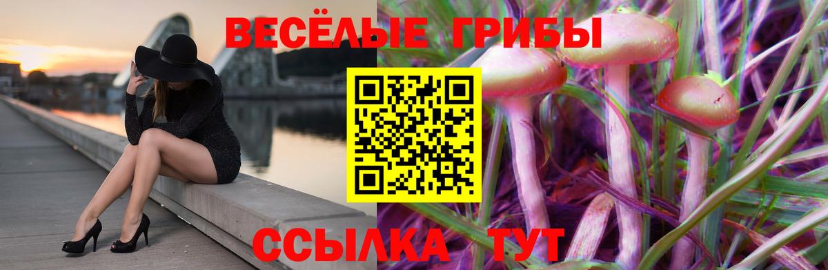 Галлюциногенные грибы Magic Shrooms  Псилоцибиновые грибы прущие грибы  Волжский  где купить наркотик  Вход с VPN 